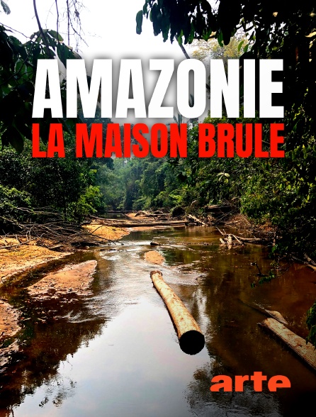 S.O.S. Amazonas: Apokalypse im Regenwald